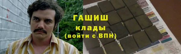 мет Алексин