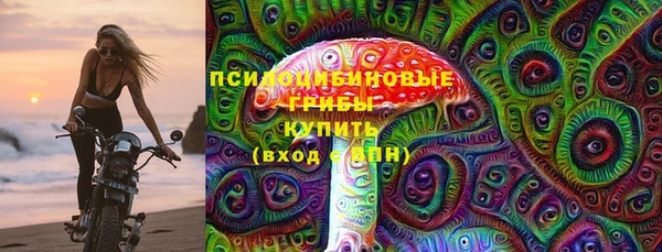 мет Алексин